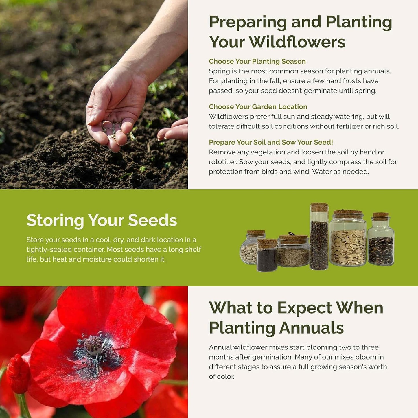 Eden Brothers Fairytale Flower Mixed Seeds for Planting, 1 lb, 480,000+ Seeds with Calendula, Cosmos Dazzler, Cornflower | Attracts Pollinators, Plant in Spring or Fall, Zones 3, 4, 5, 6, 7, 8, 9, 10