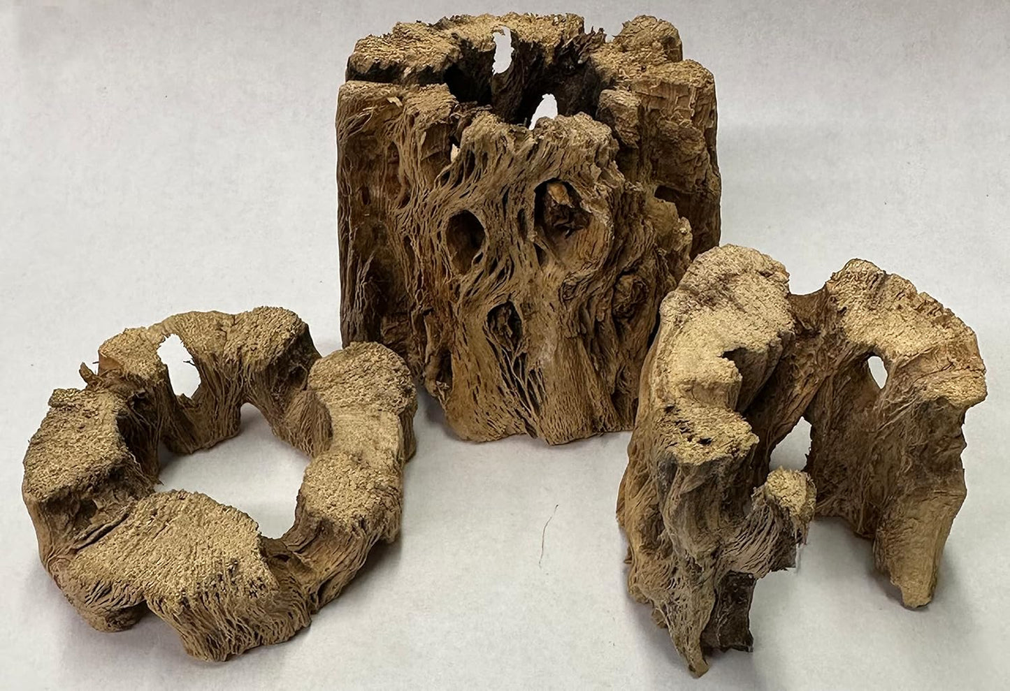 3 Natural Cholla Wood Air Plant Display Holders Individually Unique Round Decorative Stands (3 Pack Cholla Rounds)