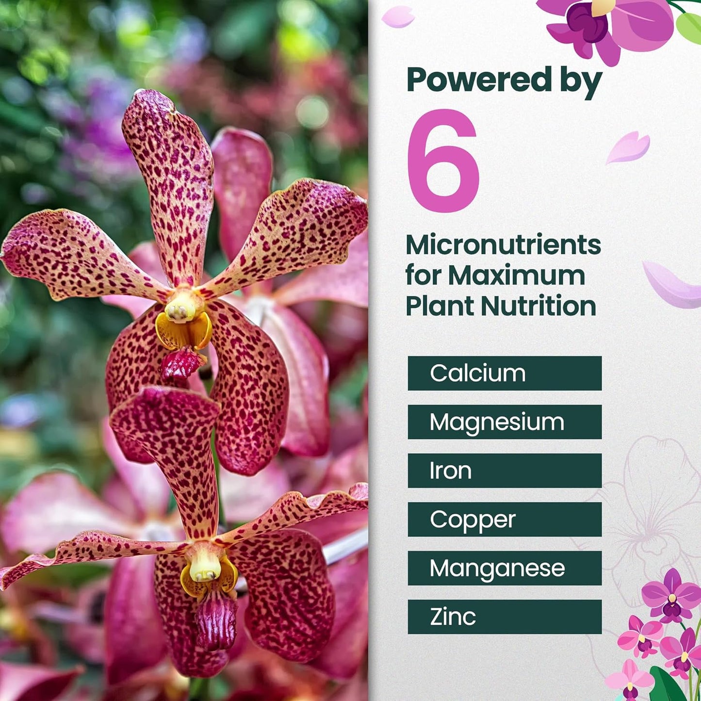 16oz Orchid Fertilizer - Makes 32 Gallons of Orchid Food, Indoor Plant Fertilizer for Orchids Indoors & Outdoors, Indoor Plant Food with Micronutrients for Vibrant Blooms and Strong Roots