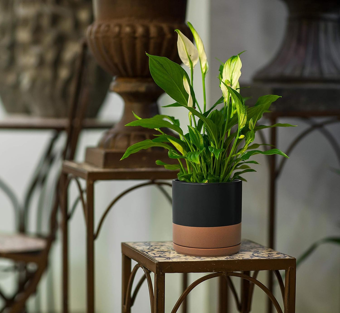 D'vine Dev Set of 2 Plants Pots, 8 Inch Ceramic Planter Pot for Plants with Drainage Hole and Saucer, Black/Speckled Tan, 94-V-D-7