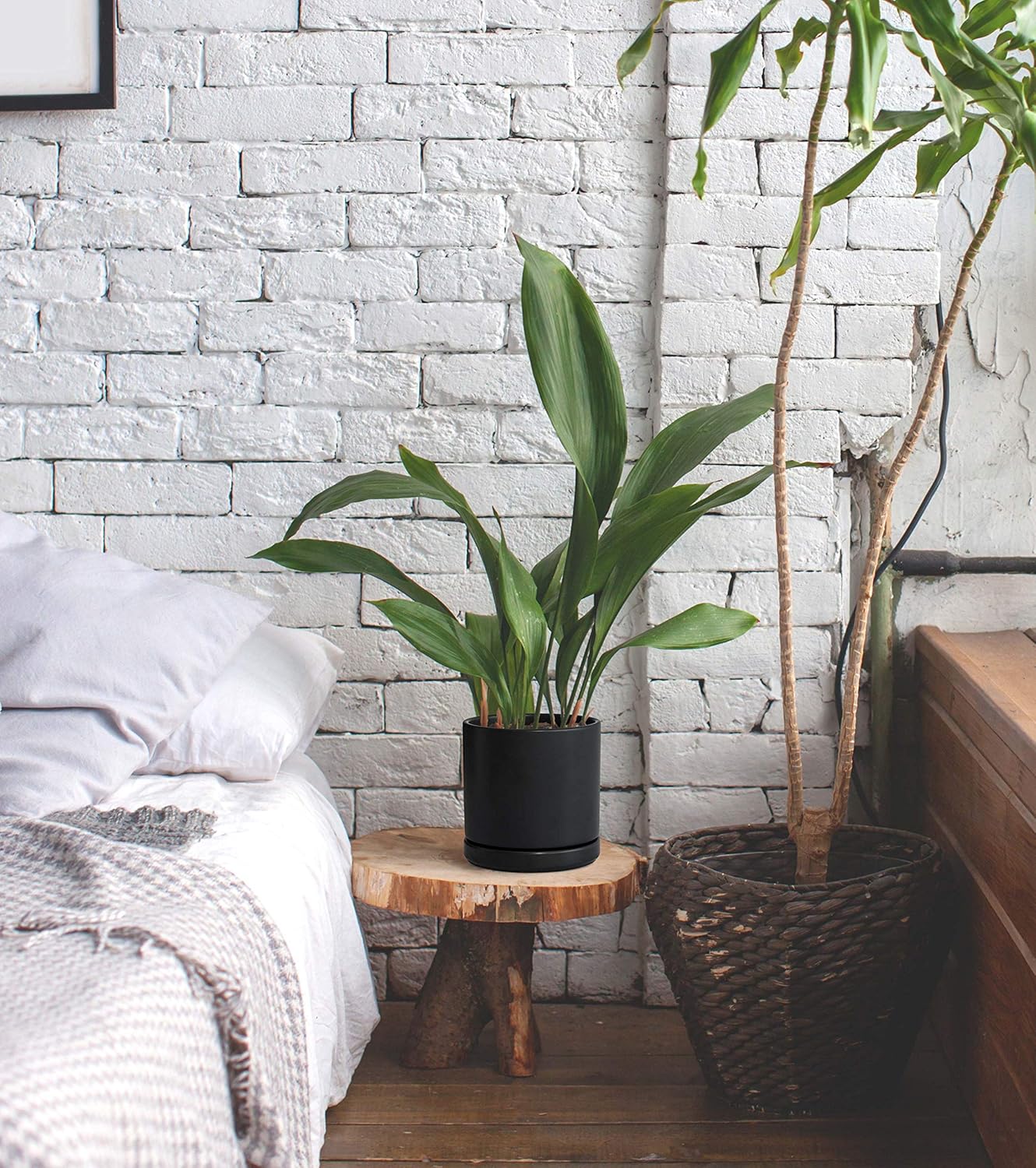 D'vine Dev Set of 2 Plants Pots, 6 Inch Ceramic Planter Pot for Plants with Drainage Hole and Saucer, Black, 94-V-C-2