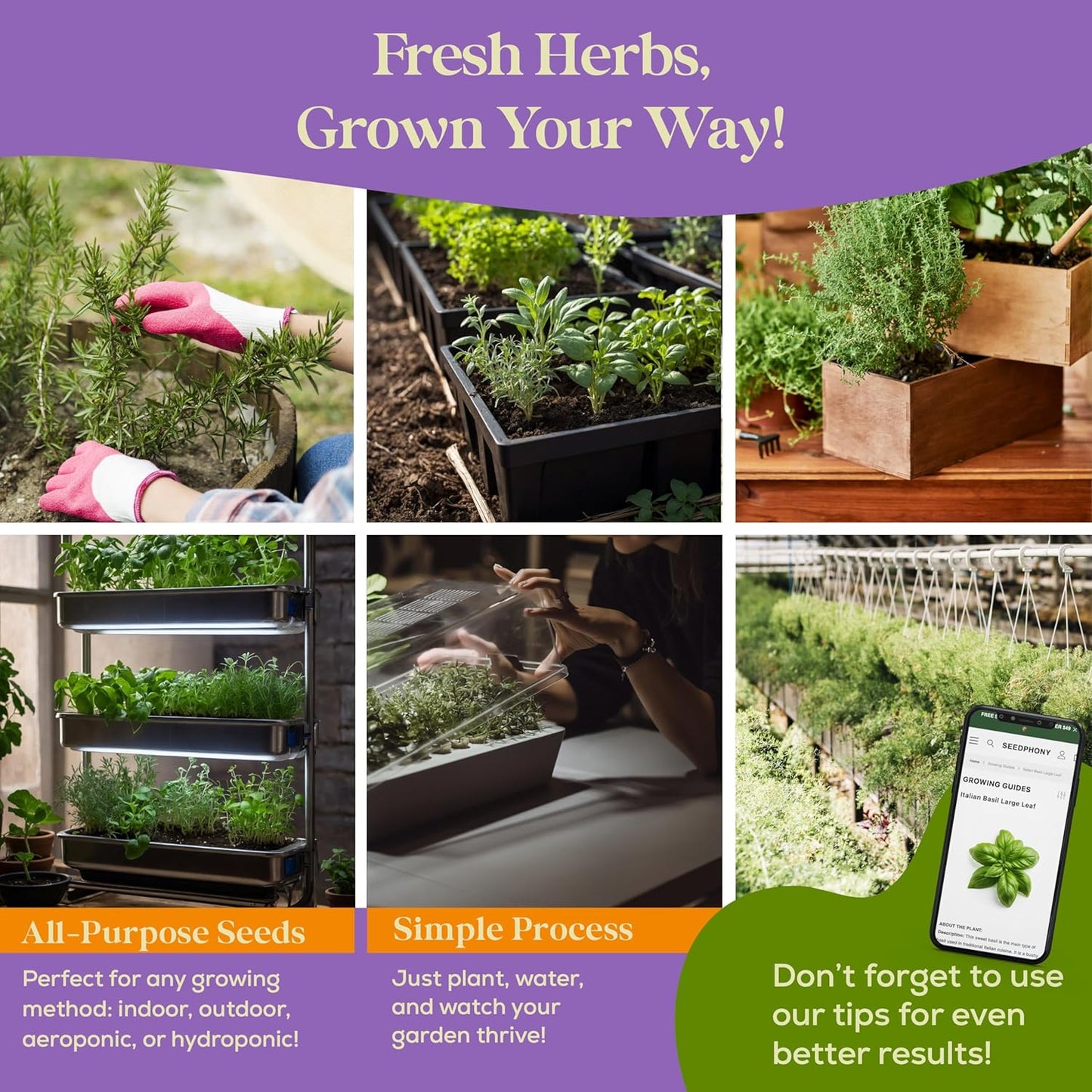 25 Culinary Classic Herb Seeds Variety Pack - 13,055+ Non-GMO Heirloom Herbs Seeds for Planting Indoor & Outdoor: Lavender, Rosemary, Dill, Mint, Catnip, Basil - Gardening Seeds Packets