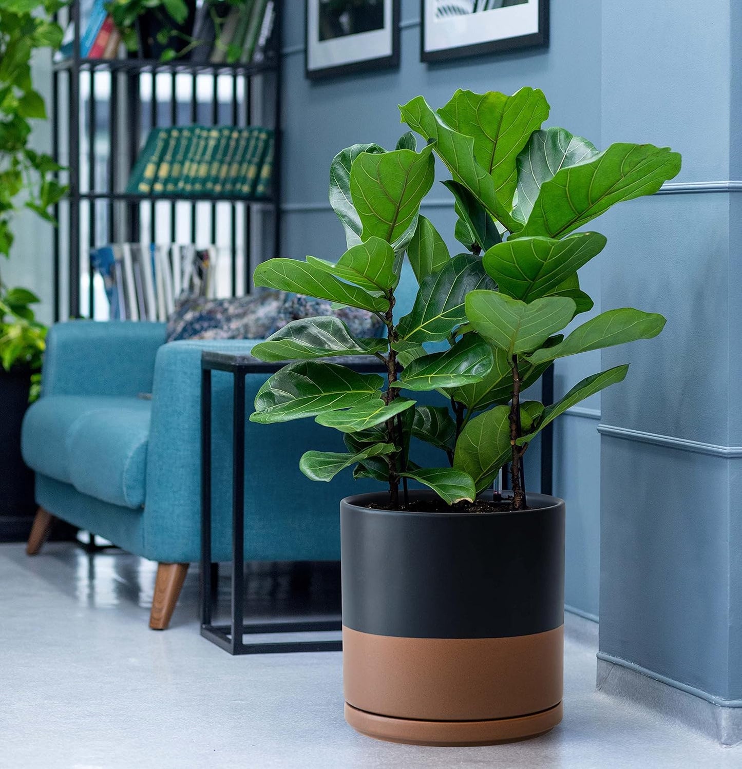 D'vine Dev Set of 2 Plants Pot, 10 Inch Ceramic Planter Pot for Plants with Drainage Hole and Saucer, Black/Speckled Tan, 94-V-E-7