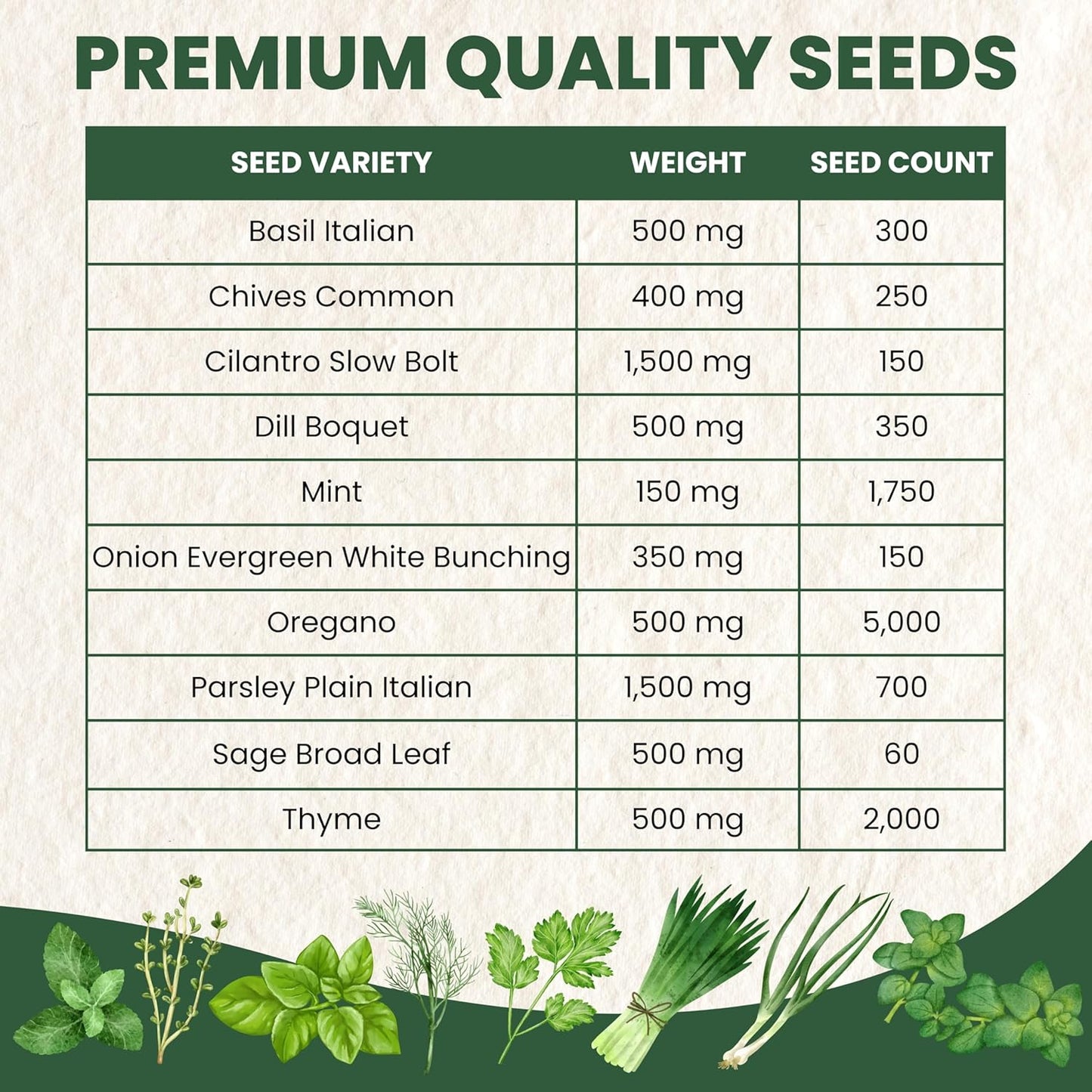 Herb Seeds | 10 Invidiual Packs | 2025 Season | Non-GMO | Mint, Parsley, Basil, Thyme & More! | for Planting Indoor & Outdoor | by Family Sown