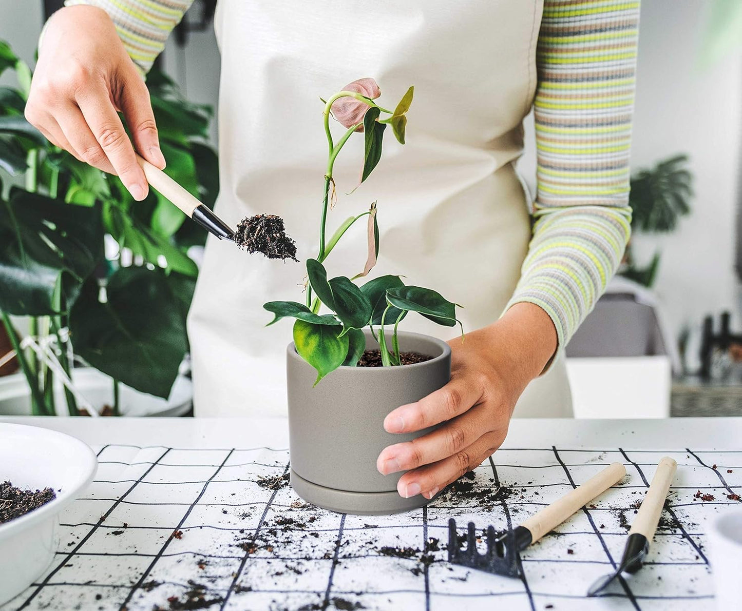 D'vine Dev Set of 2 Plants Pots, 4.6 Inch Ceramic Planter Pot for Plants with Drainage Hole and Saucer, Speckled Grey, 94-V-B-3