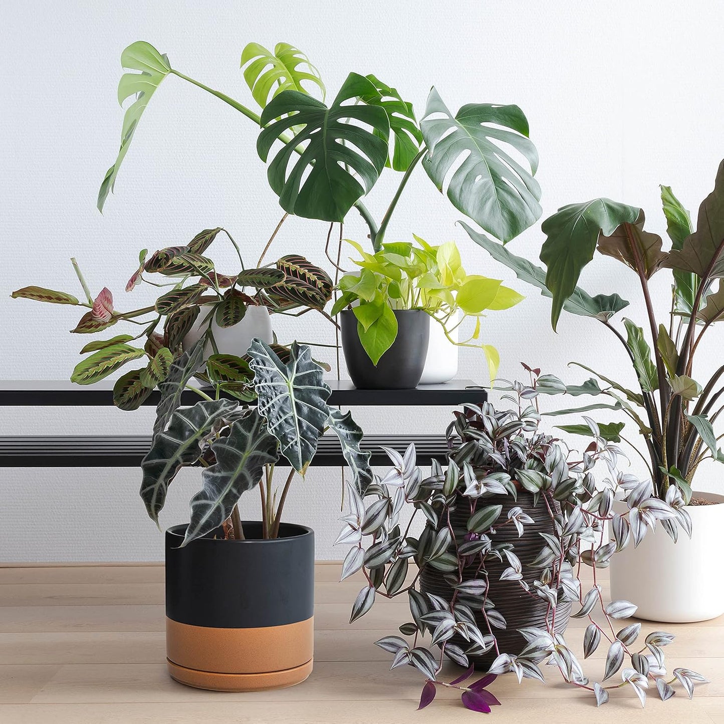 D'vine Dev Set of 2 Plants Pot, 10 Inch Ceramic Planter Pot for Plants with Drainage Hole and Saucer, Black/Speckled Tan, 94-V-E-7