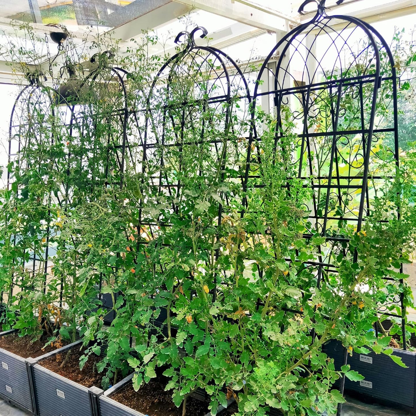 2 Pack Metal Garden Trellis for Climbing Plants 71" x 19.7" Outdoor Fence Rustproof Garden Trellis Support Roses Flower Lawn, Black 6FT