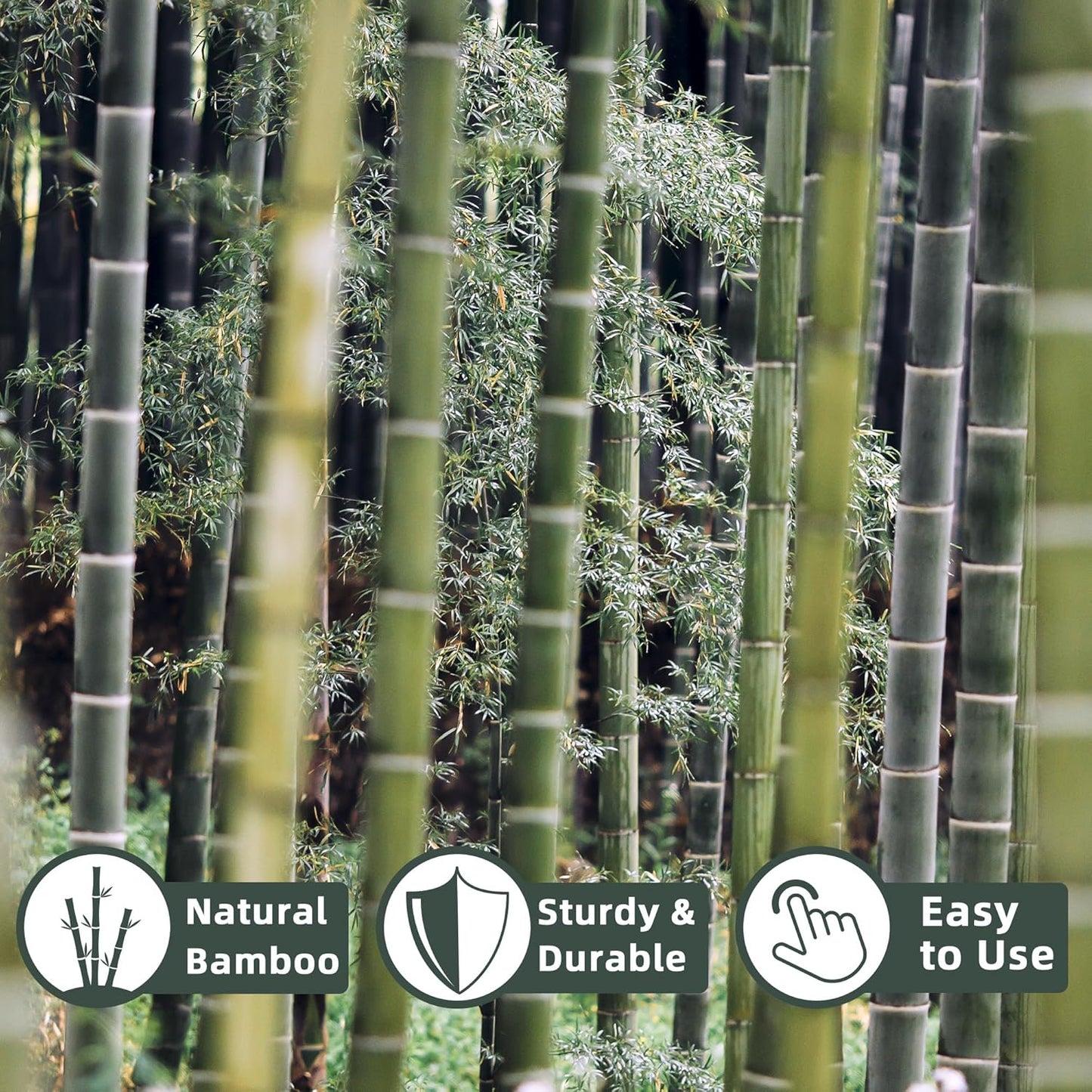 50Pcs / 16 inch Bamboo Plant Stakes for Indoor Outdoor Plants, Garden Plant Support Sticks, Poles for Tomato Vegetables Beans Trees Potted Climbing Plants(0.32'')