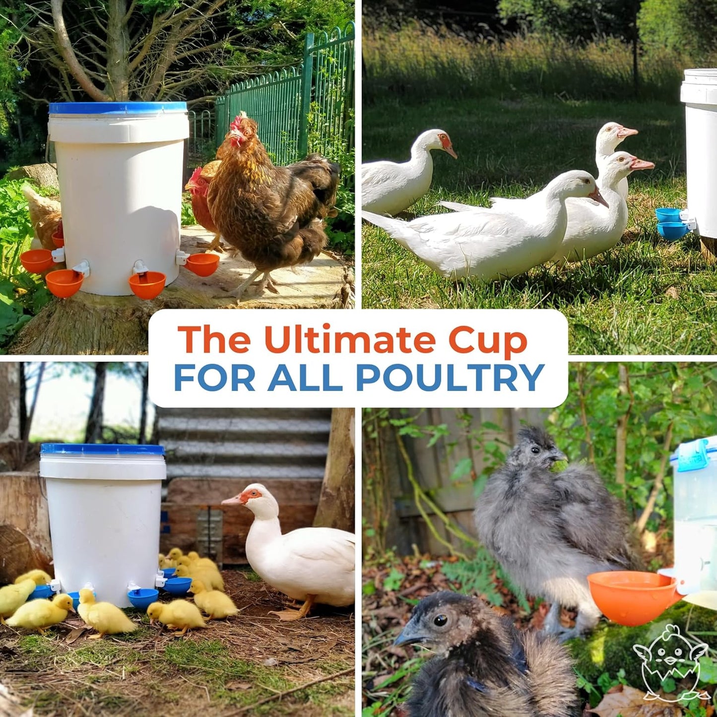 Lil Clucker - Blue Large Automatic Chicken Waterer Cups Suitable for Ducks, Geese, Turkeys, and Bunny Rabbit - Water Feeder Kit - Poultry Waterer - Pack of 12