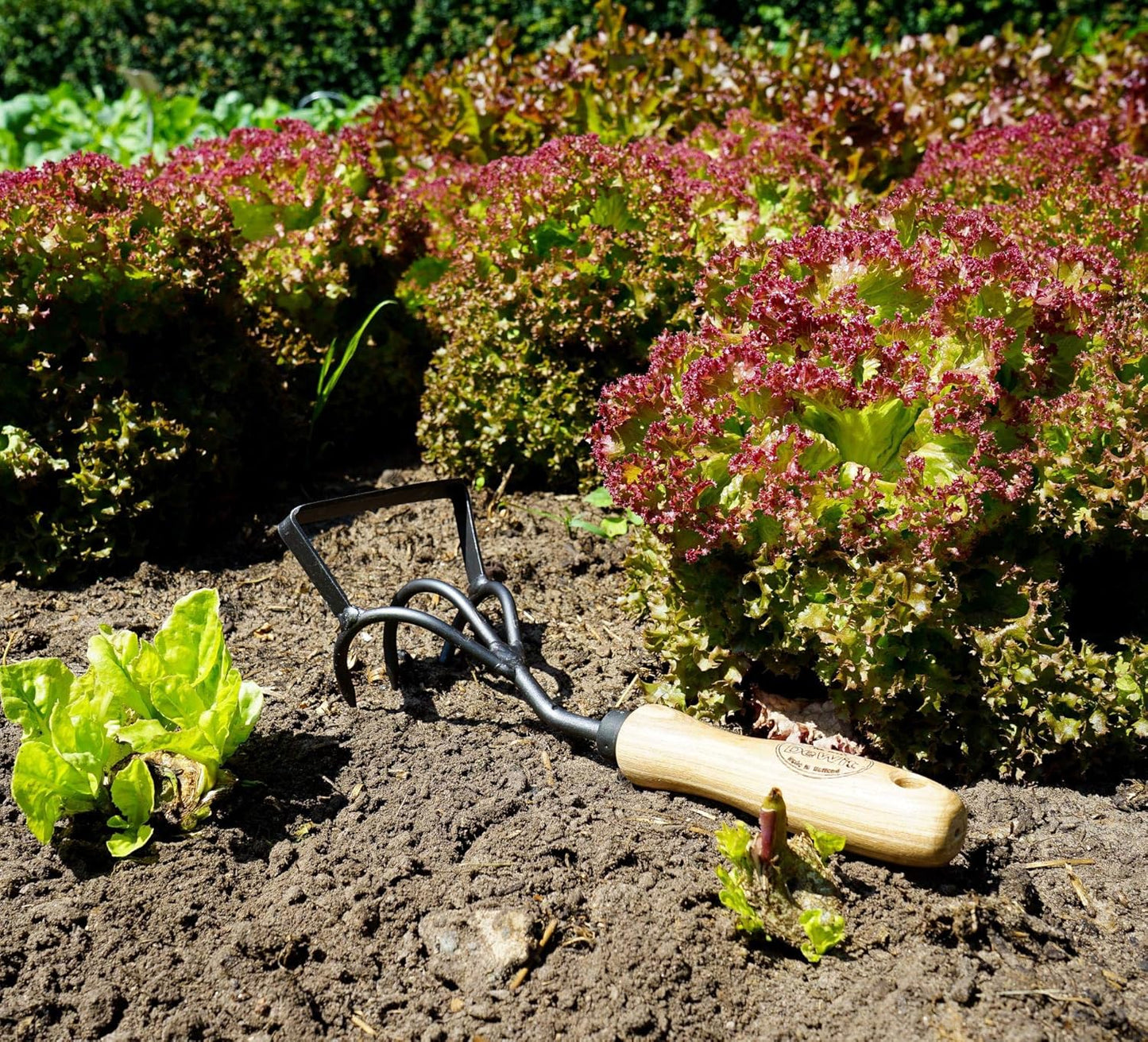 DeWit Culti-Weeder with Short Handle