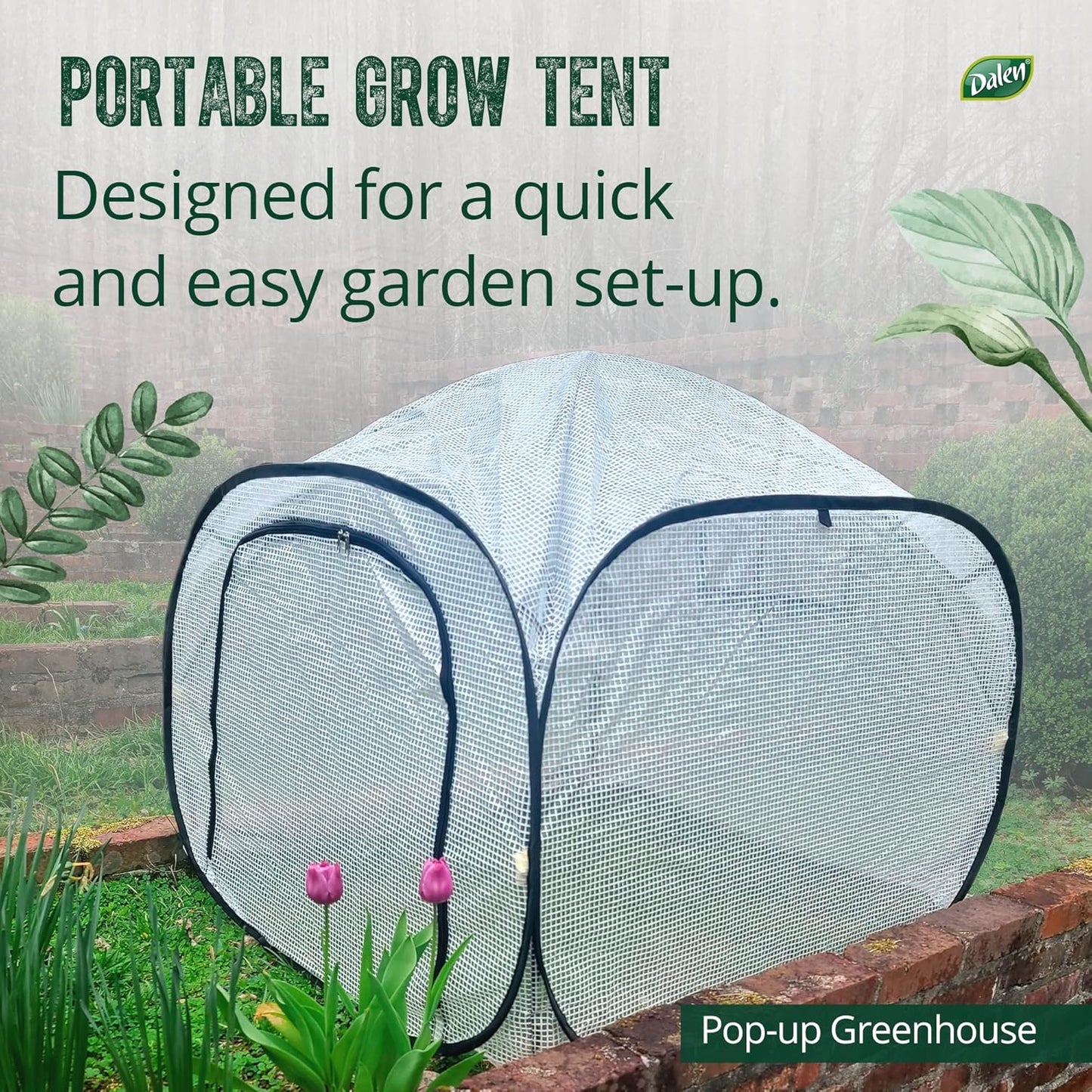 Dalen Pop-Up Mini Greenhouse - Easy Setup and Storage – 39”W x 39" L x 36" H - Special Venting Window to Ensure Breeze