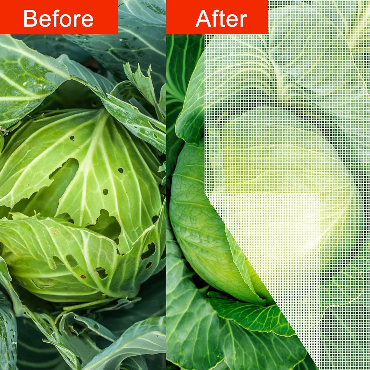 Agfabric Garden Netting 6.5'x10' Insect Pest Barrier Bird Netting for Garden Protection,Row Cover Mesh Netting for Vegetables Fruit Trees and Plants,White,2 Pack