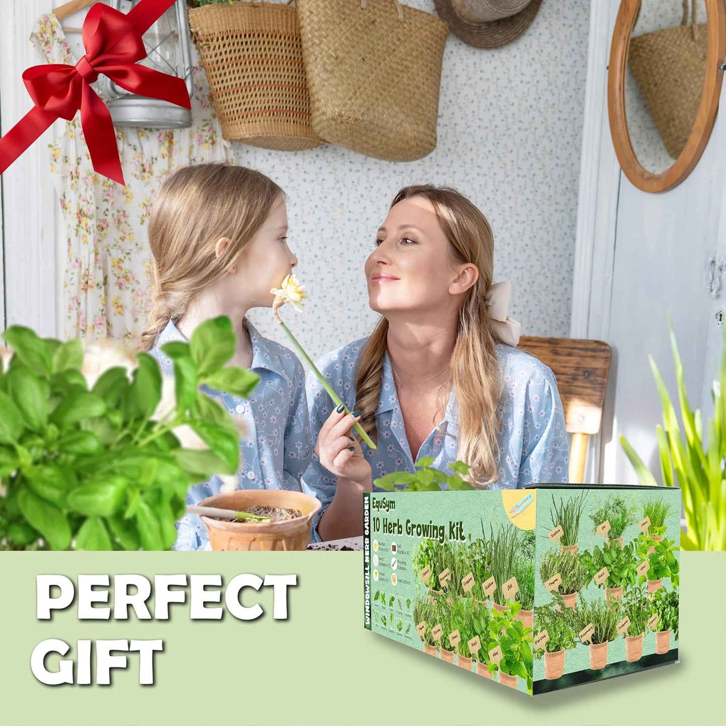 10 Herb Window Garden Kit Indoor - Herb Seeds for Indoor & Outdoor Gardening, Seeds for Planting, Gardening Gift for Kid Mother's Day Women, Complete Herb Growing Kit with Pots, Soil, Basil, Mint