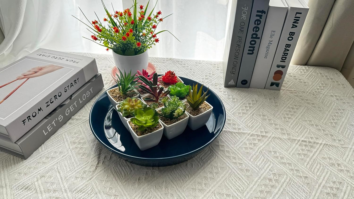 14 Inch Plant Saucer Tray 4 5 6 8 10 12 14 15 Inch Ceramic Plant Saucers for Indoors Outdoor, Drainage Drip Water Trays for Planter Pots Flower, Glazed Pot Saucers Trays (15 Inch)